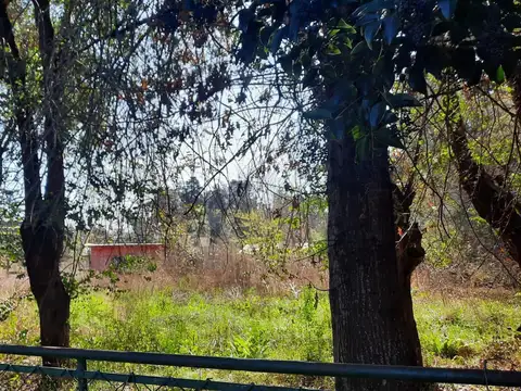 Terreno en Venta 50  mts Fondo