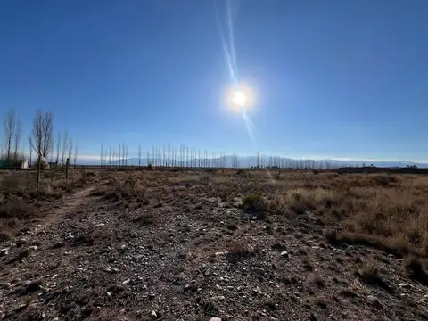 Terreno en Venta en Perdriel, USD 9.500