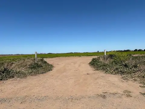 Autopista Fighiera