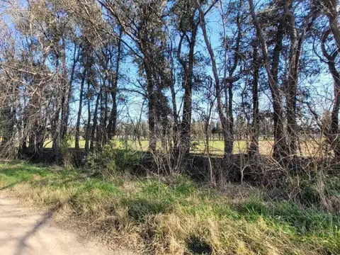 Campo en Venta en Carabassa, Pilar