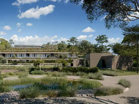 Baleia - Punta Ballena - Uruguay