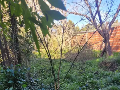 Terreno en Venta 37  mts Fondo