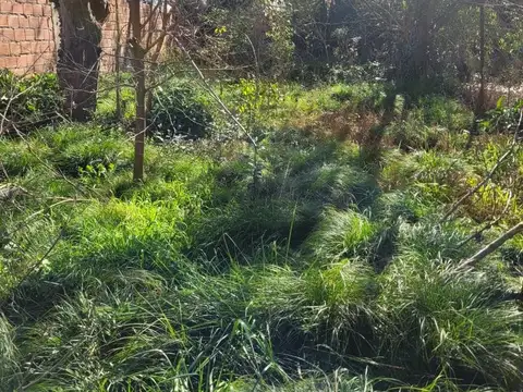 Terreno en  venta en Florencio Varela