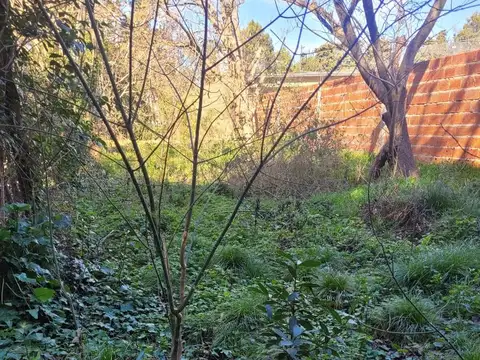 Terreno en Venta 10  mts Frente