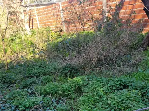 Terreno en Venta de 377,0 m2