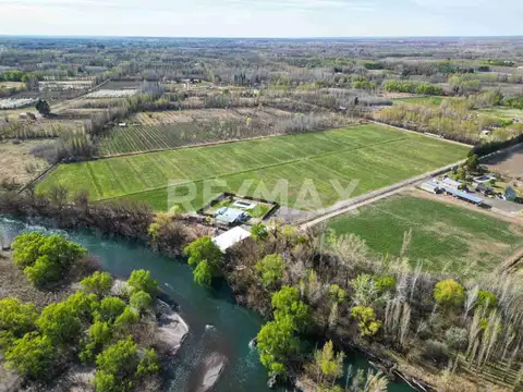 Quinta en Venta en Cipolletti, USD 480.000