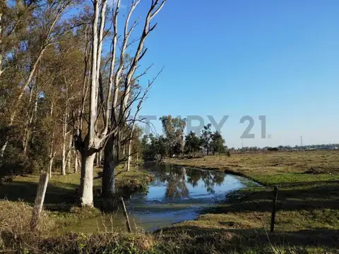 La Pista y Ruta 26 , Piso 0