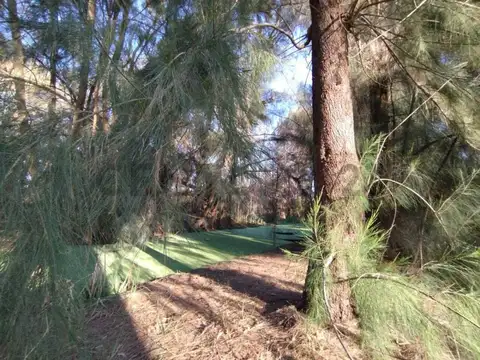 Campo en Venta de 3,68  ha