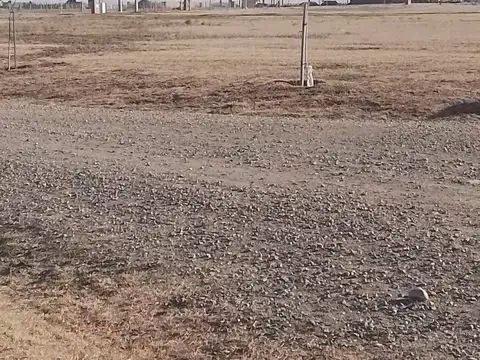 Terreno en Venta de 890,0 m2