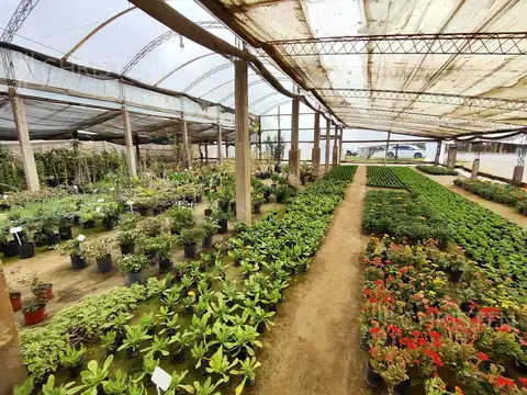 Fondo Comercio en Alquiler en Santo Tome, $ 1.100.000