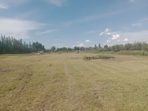 Terreno en Venta de 1000,0 m2