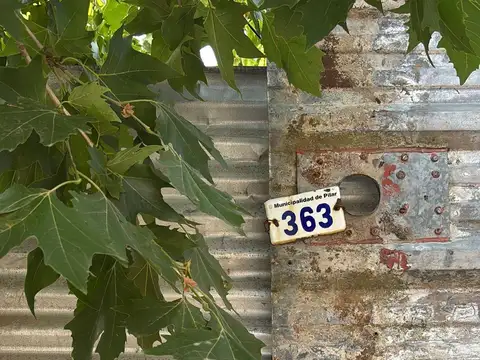 Mariano Necochea 300