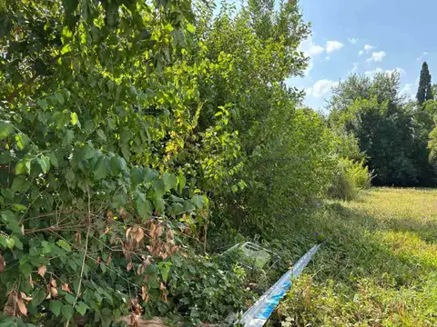 Mariano Necochea 300