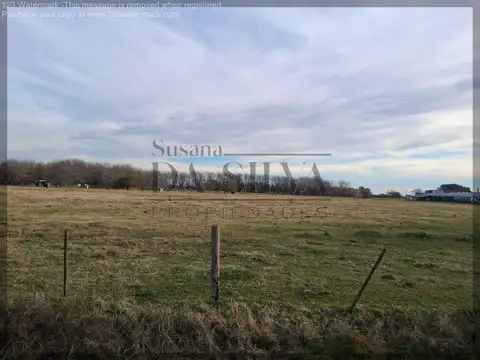 3 HECTAREAS en Zona Industrial Gral. Las Heras