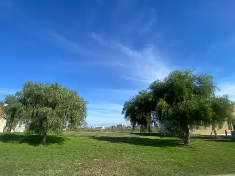 Terreno en Venta de 821,0 m2