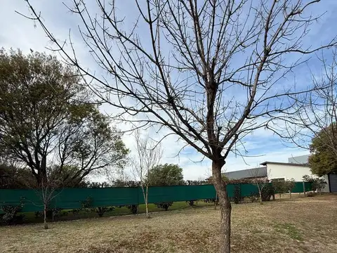 Terreno en  venta  Fincas del Sur 2