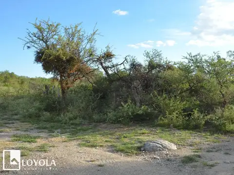 Terreno en Venta de 722,0 m2