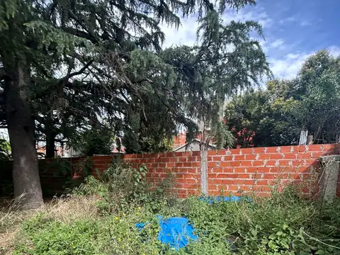 Terreno en Venta de 300,0 m2