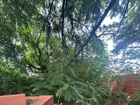 Terreno en Venta de 300,0 m2