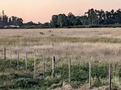 Terreno en Venta en Benito Juarez, USD 39.000