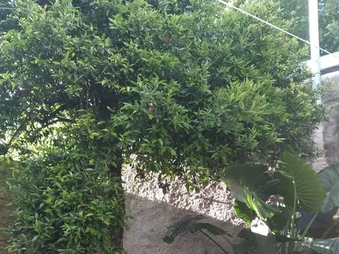 Depto Tipo Casa en Venta en Azcuenaga, USD 40.000