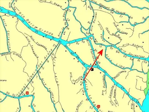 Rio / Arroyo Correntoso 100