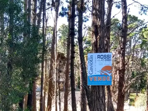 2 Lotes Unifamiliares en Mar Azul