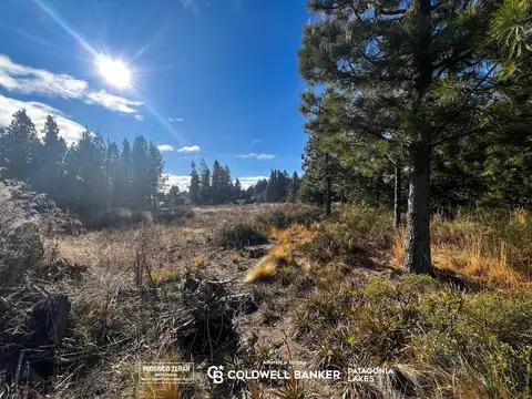 Terreno en Venta 40  mts Fondo