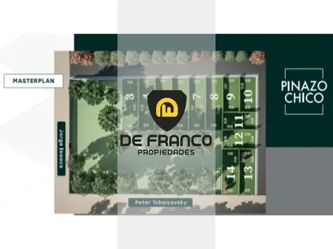 Terrenos en  Venta -DEL VISO -LOTEO PINAZO CHICO