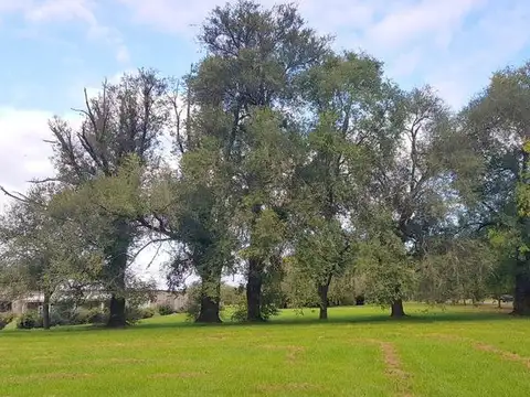 TERRENOS/FRACCIONES/LOTEOS - TERRENOS - EZEIZA, GRAN BS. AS. OESTE SUR