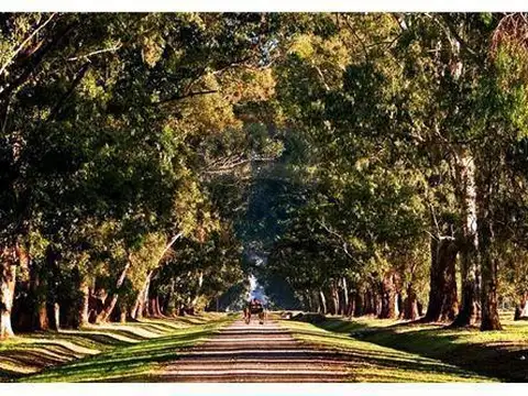 Estancia Villa Maria | Canning