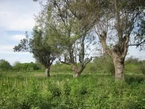 LOTE DE TERRENO - 1743 m2  - ASFALTO - ASTOLFI - PARTIDO DE PILAR