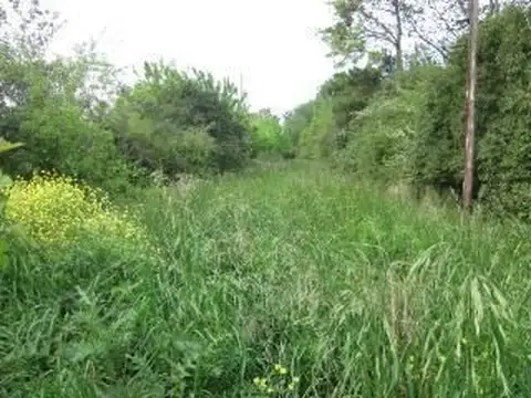 Ameghino (Río Atuel)