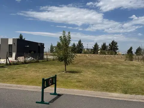 Terreno en Venta de 800,0 m2