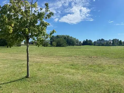 Terreno en Venta en Pilara, USD 700.000