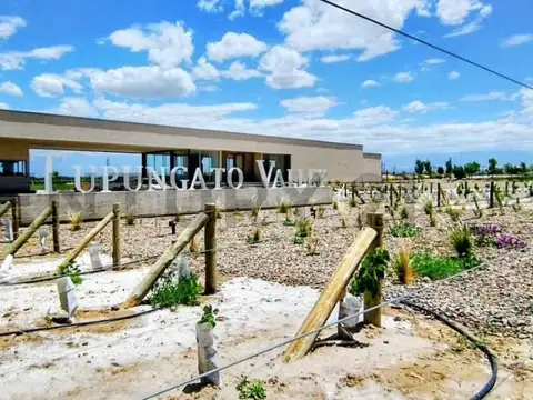 Century 21 López vende Lote en Barrio Privado Tupungato Valley Valle de Uco Mend