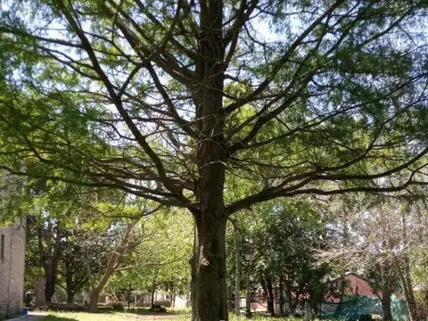 Terreno - Venta - Argentina, BERAZATEGUI