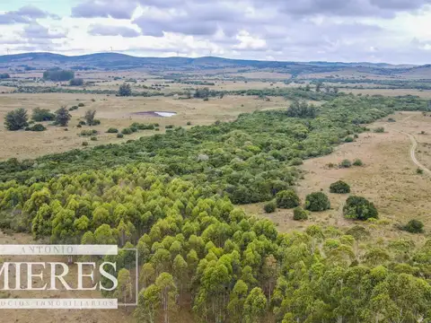 Campo con casa e instalaciones en Pueblo Edén 89ha