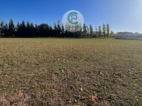 Colectora Norte Km 100