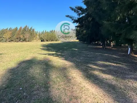 Terreno en Venta de 1074,0 m2