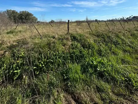 Terreno de 1 Hectárea  en B. de Las Moras