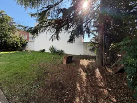 Terreno en Venta de 481,0 m2