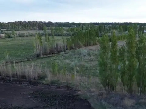 VENTA CHACRA LUIS BELTRAN 5,6 HECTAREAS