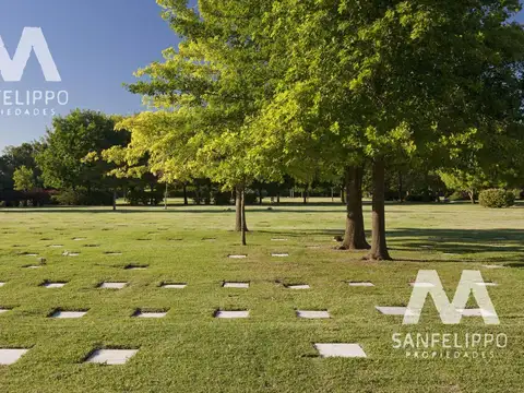 Terreno en Venta 2  mts Fondo