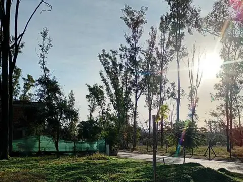 Terreno en Venta de 236,0 m2