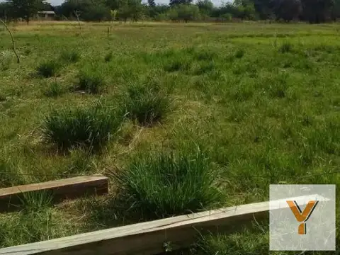 Terreno en Venta en Abasto, USD 135.000