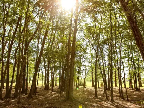 Terreno en Venta en Estancias Del Pilar, USD 240.000