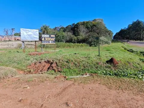 Espectacular Lote en Gobernador Roca sobre Ruta 12.-