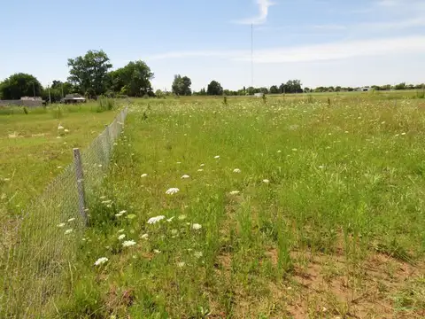Terreno en Venta de 979,0 m2