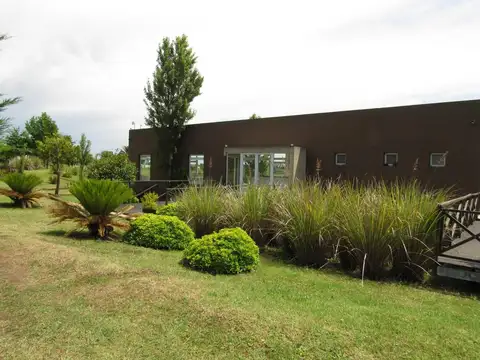 Lote 65